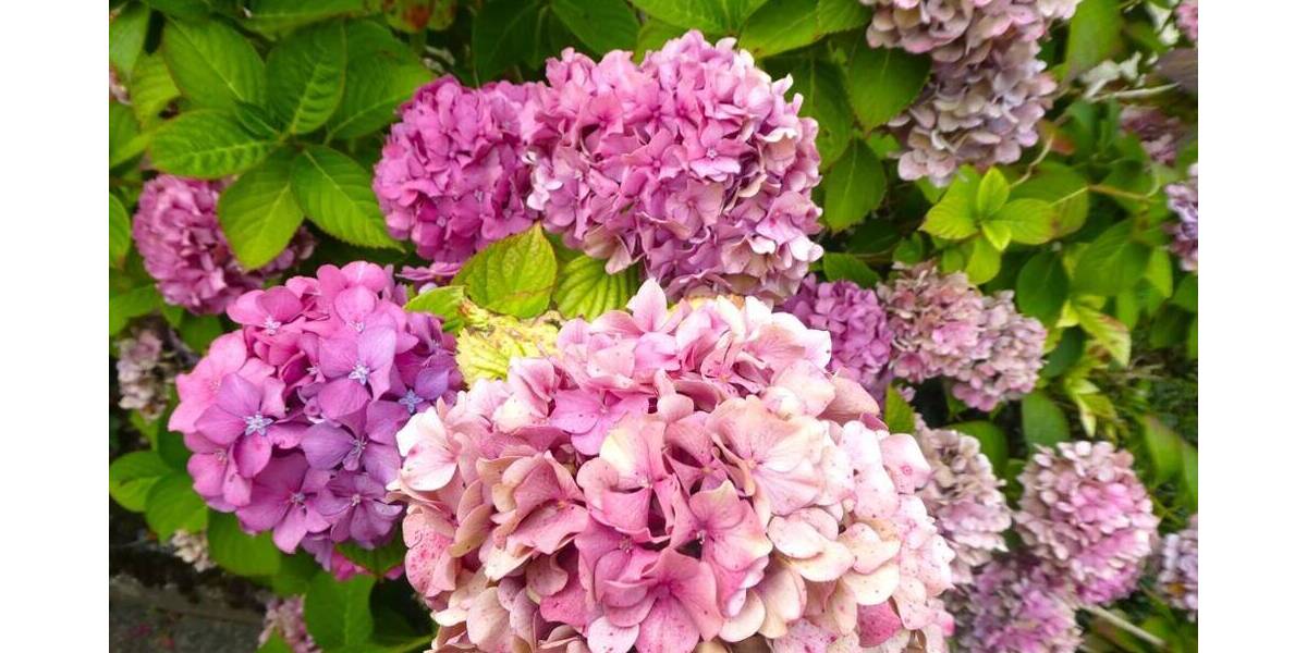 Einfamilienhaus Bietigheim-Bissingen Bietigheim - 5 Zimmer, 110 m&sup2;, 595.000&euro; | Angebot:25697229