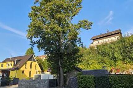 VIELSEITIGER RAUM FÜR LEBEN UND ARBEIT IN TOP-LAGE - Grundstück Steinheim an der Murr | Angebot:25420024