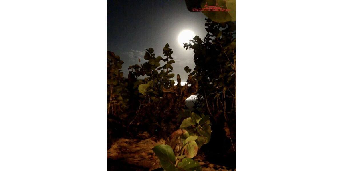 Grundstück in Costa Rica in einer der blauen Zonen der Erde - Grundstück Stuttgart | Angebot:6359433