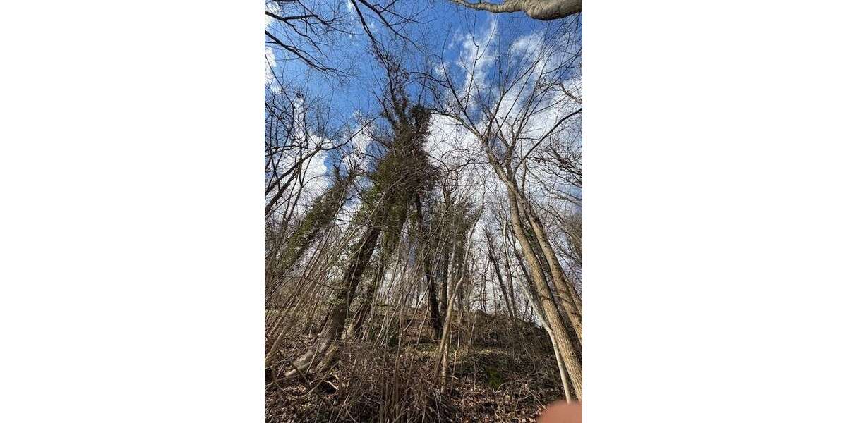 Grundstück Neckartenzlingen - 5.500&euro; | Angebot:25994947