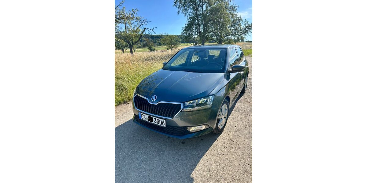 Skoda Fabia 27.700 km 12.900 &euro; Leinfelden 70771