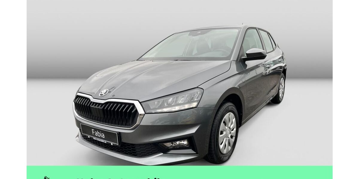 Skoda Fabia 1.111 km 19.985 &euro; Weinstadt-Endersbach 71384