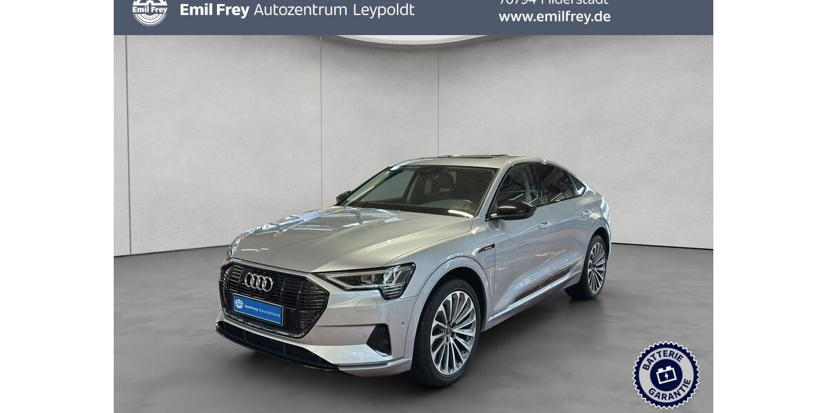 Audi e-tron 81.584 km 30.890 &euro; Filderstadt 70794