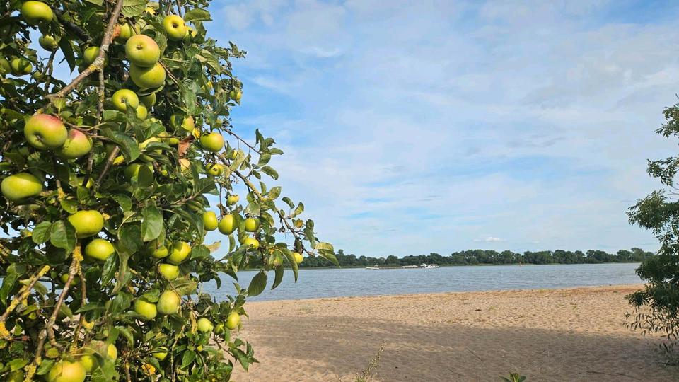 Einfamilienhaus Stuttgart - 85.000&euro; | Angebot:26042275