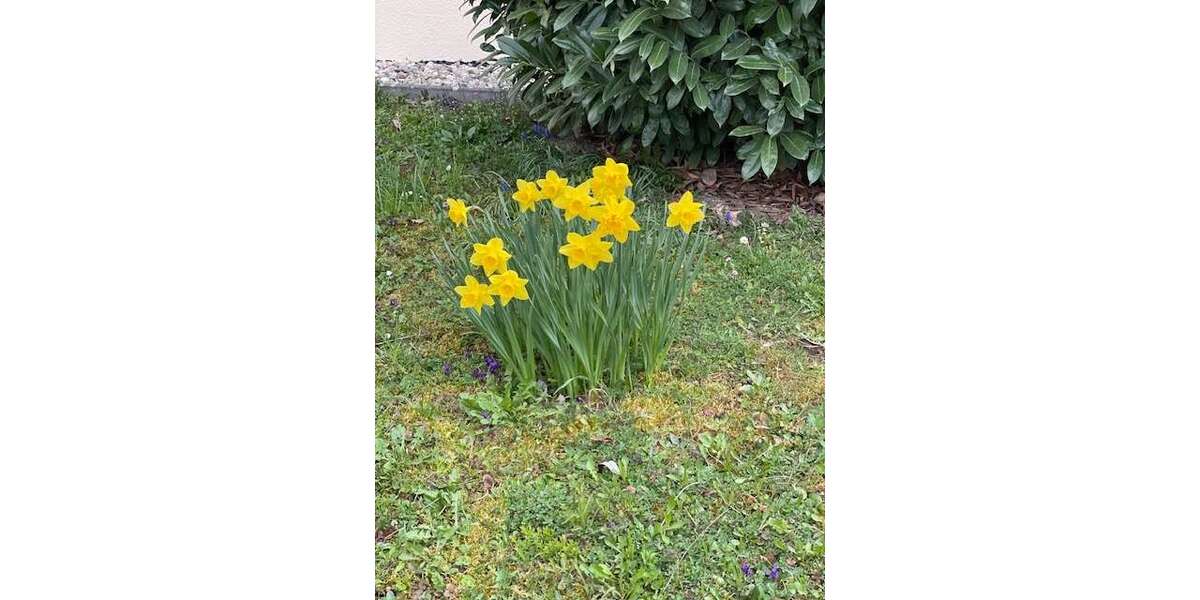 Etagenwohnung Reichenbach an der Fils - 3 Zimmer, 67 m&sup2;, 239.000&euro; | Angebot:25997711