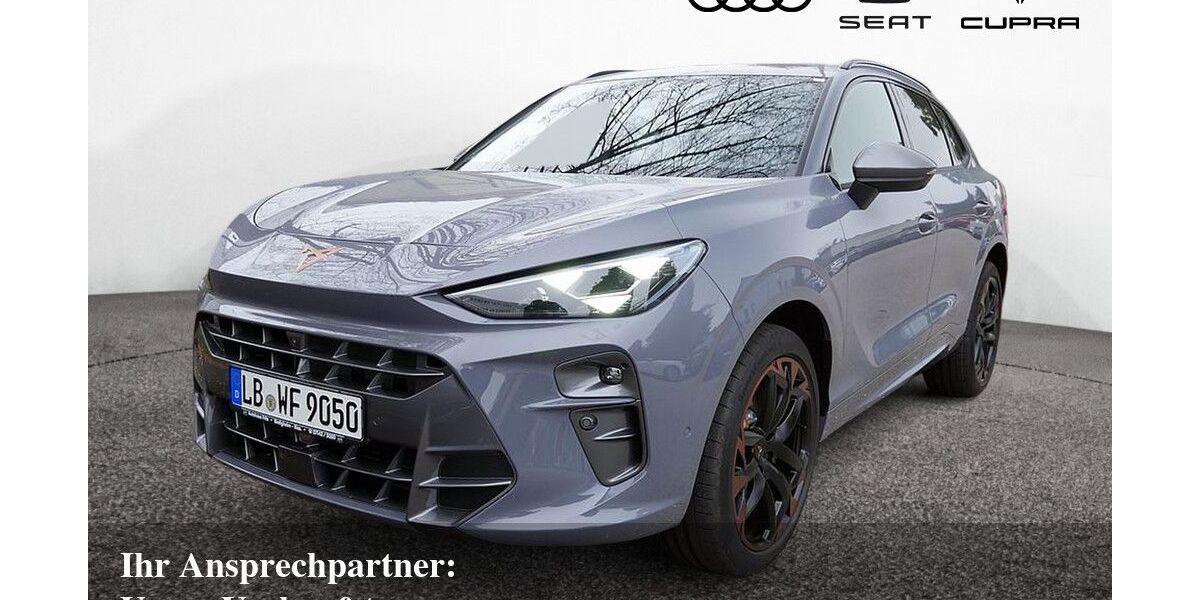 Cupra Terramar 19.500 km 39.680 &euro; Bietigheim-Bissingen 74321