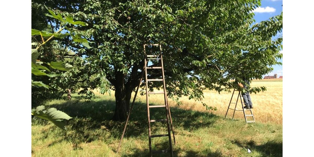 Grundstück Schorndorf - 44.990&euro; | Angebot:25174616