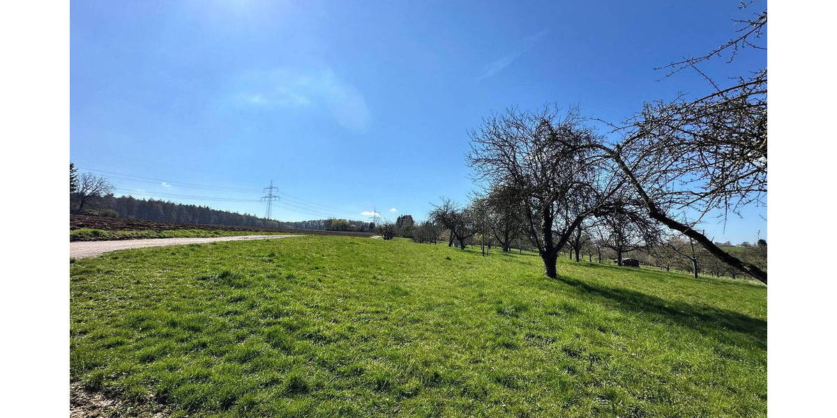 Mehrfamilienhaus, Wohnhaus Deizisau - 7 Zimmer, 207 m&sup2;, 979.000&euro; | Angebot:26058794