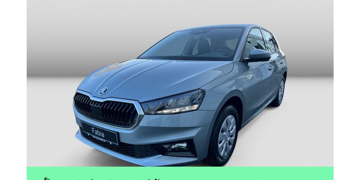 Skoda Fabia 1.111 km 21.890 &euro; Weinstadt-Endersbach 71384