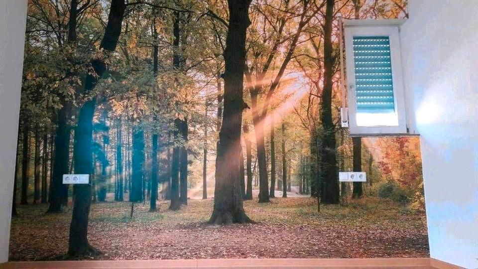 Etagenwohnung Stuttgart Bad Cannstatt - 3 Zimmer, 79 m&sup2;, 1.100&euro; | Angebot:25973951