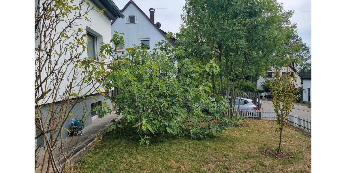 Loft - Studio - Atelier Ostfildern - 3 Zimmer, 85 m&sup2;, 1.420&euro; | Angebot:27597240