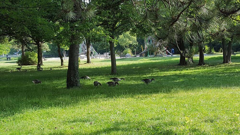 Wohnen direkt am Böblinger Park und Oberen See - 4-Zimmer-Wohnung und Aufzug – - Etagenwohnung Böblingen | Angebot:26940430