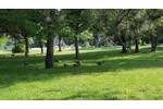 Wohnen direkt am Böblinger Park und Oberen See - 4-Zimmer-Wohnung und Aufzug – - Etagenwohnung Böblingen | Angebot:26940430
